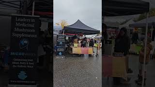 Saturdays Farm Market downtown 1 of 2 Salmon Arm BC [upl. by Ytissahc]