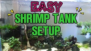 SUPER EASY SHRIMP TANK SETUP for NEOCARIDINA SHRIMP [upl. by Horn]