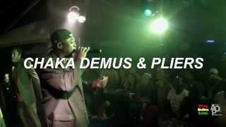 CHAKA DEMUS amp PLIERS  I WANNA BE YOUR MAN  2013 [upl. by Sivehc990]