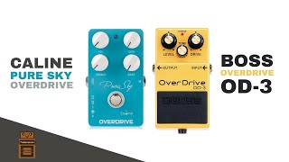 Caline Pure Sky Overdrive vs Boss OD3 Overdrive  No Talk Pedal Demo [upl. by Aklam]