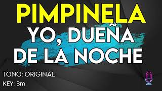 Pimpinela  Yo Dueña De La Noche  Karaoke Instrumental [upl. by Sillyhp822]