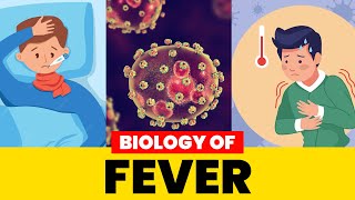 Biology of Fever [upl. by Ynavoj89]