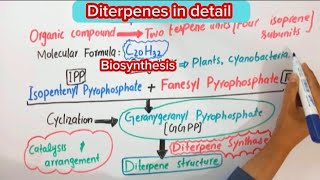 Diterpenes BiochemistryStructureBiosynthesisFunction biochemistry [upl. by Adnoloy]