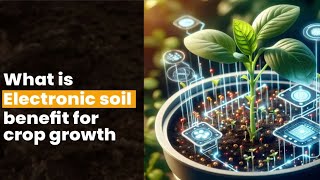 ELECTRONIC SOIL OR ESOIL HYDROPONICS CULTIVATION LEGAL JURISPRUDENCE upsc electronic soil [upl. by Buatti639]