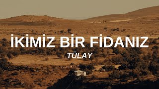 Tülay  İkimiz Bir Fidanız SözleriLyrics 1975 Plak Kaydı [upl. by Adnalahs942]