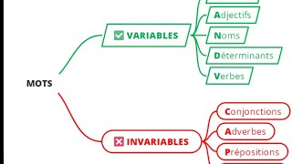 Les mots variables et invariables [upl. by Grishilde502]