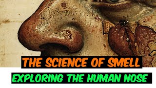 THE SCIENCE OF SMELL  Exploring the human nose 👃  HumanNose doyouknow educationalvideo [upl. by Ribal]