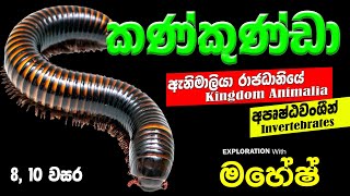 කන්කුන්ඩා  Kankunda [upl. by Olaf746]