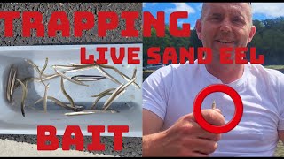 How to trap LIVE SAND EEL BAIT for fishing [upl. by Hilleary]