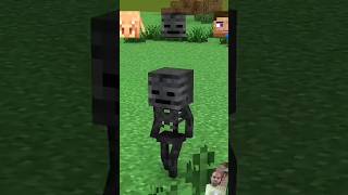 Piglin vs Skeleton Wither vs Steve Evolution  Transform Challenge [upl. by Scherman539]