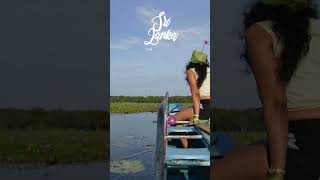 Self healing Sri lanka Shorts Trending Viral srilanka tropical lake boat sun [upl. by Yssirhc]