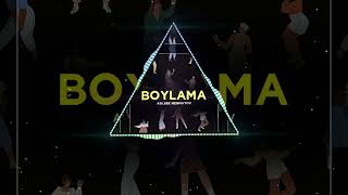 Boylama dj tab remix [upl. by Issak]