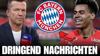 🚨BOMBE FC BAYERN ERHÖHT ANGEBOT FÜR DOUÉ DEUTLICH AKTUELLE NACHRICHTEN VOM FC BAYERN MÜNCHEN [upl. by Proulx]