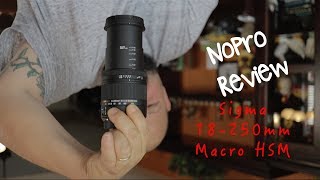 Sigma 18250 Macro HSM Review A good kit lens upgrade [upl. by Docila503]