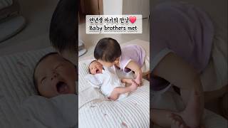 👶연년생 동생의 존재가 신기한 아기❤️ Baby existence of younger sibling 아기귀여운아기19개월아기연년생출산장려영상babyshorts [upl. by Rici]