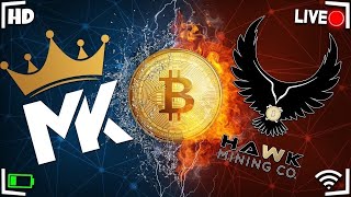 Terrahash Tuesday W Hawk Crypto Mining Co [upl. by Edlun]