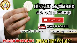 Holy Mass St Marys Church Parel Changanacherry Organized By Pravasi Apostolate [upl. by Phylys]