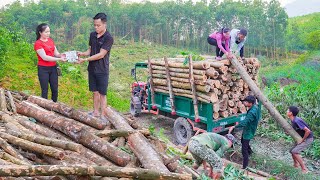 Buy Wood From Villagers On High Hills and Use Trucks To Transport and Sell To Traders  Daily Farm [upl. by Brandyn501]