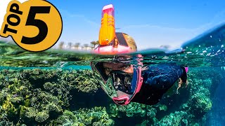 How to Pick the Right Snorkel or Dive Mask  In Depth Instruction [upl. by Normac]