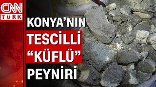 Küflü peynir sağlığa zararlı mı [upl. by Fedora945]