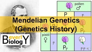 Mendelian Genetics Genetics History [upl. by Jessalyn605]