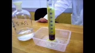 Decomposition Reaction Hydrogen Peroxide [upl. by Nawor]