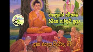 මහානුභාව ඇති ධම්සක් පැවතුම් සූත්‍රය  Damsak pewathum Sutta  Ven Hasalaka Seelawimala Thero [upl. by Yedorb]