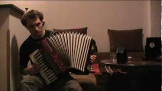 Nina Simone  Feeling Good  Accordion improvisation [upl. by Bunny835]