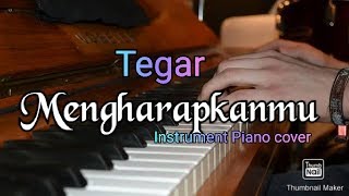 Mengharapkanmu TEGAR  Intrument Piano cover [upl. by Merline]