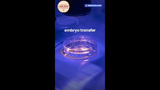 Is the embryo transfer procedure that simple [upl. by Ogawa]