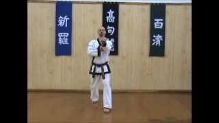 Tang Soo Do  Single Step Drill  Sequence 2 [upl. by Ecirtnom152]