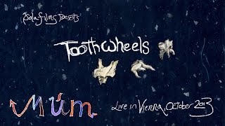 múm toothwheels live [upl. by Nnalatsyrc]