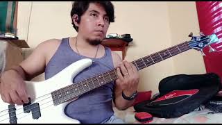 Danzare  bass cover [upl. by Lelah]