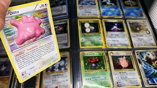 ASMR📔Showing Me Your Pokémon Card Collection in the Library📔 Close Whispering Personal Attention [upl. by Nnylorac]