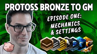 2023 Protoss Bronze to GM 1 Complete Mechanics amp Settings Tutorial B2GM  StarCraft 2 [upl. by Fabiola829]