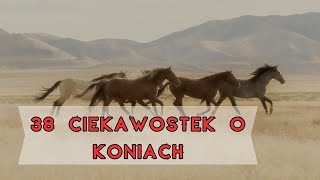 Ciekawostki o KONIACH  38 faktów których prawdopodobnie NIE WIESZ 🐎 [upl. by Sandye512]