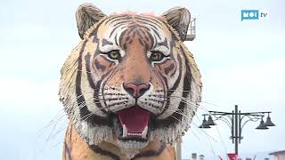 Carnevale di Viareggio confermato Martedì Grasso il gran finale [upl. by Aiam448]