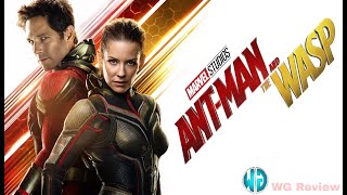 Ant Man and Wasp 2018 Full Movie Facts And Review  Hollywood Movie  Hindi Explanation  WG Review [upl. by Shanks]