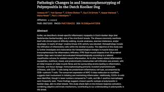 Pathologic Changes in and Immunophenotyping of Polymyositis in the Dutch Kooiker Dog [upl. by Thorley]