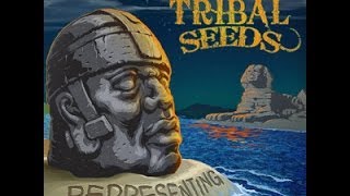 Tribal Seeds  Representing FULL ALBUM NEW 2014 [upl. by Dosh]