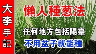 【園藝種植】 懒人種葱法  任何地方包括陽臺  不用盆子就能種 [upl. by Janaya605]