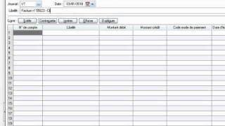 Vidéo n° 3 La saisie des écritures comptables [upl. by Mikkel]