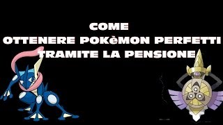 Come Ottenere Pokemon Perfetti  Pokemon XY Guida all Accoppiamento [upl. by Suiddaht]