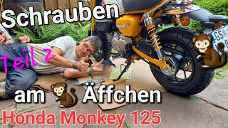 Kitaco Motorschutzplatte Honda Monkey 125  ⚒️ Schrauben Teil 2 am 🐒Äffchen  Dax Unterfahrschutz [upl. by Enelad46]