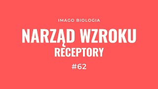 Narząd wzroku Receptory [upl. by Doxia]