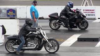 Hayabusa vs Harley Vrod  drag race [upl. by Drahnreb]