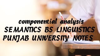 componential analysis SEMANTICS BS LINGUISTICS PUNJAB UNIVERSITY NOTES [upl. by Morena]