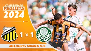 NOVORIZONTINO 1 X 1 PALMEIRAS  MELHORES MOMENTOS  CAMPEONATO PAULISTA 2024  geglobo [upl. by Irej]