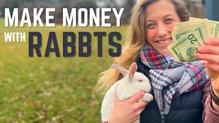 5 Ways to Make Money with Rabbits [upl. by Urbanna630]