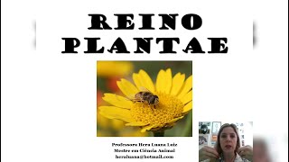 Reino Plantae  Briófitas e Pteridófitas  2° EM [upl. by Vanzant]